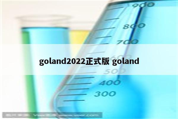 goland2022正式版 goland