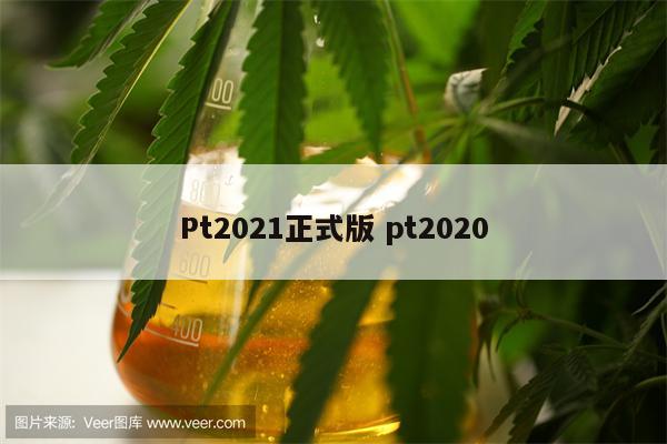 Pt2021正式版 pt2020