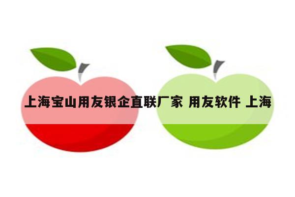 上海宝山用友银企直联厂家 用友软件 上海