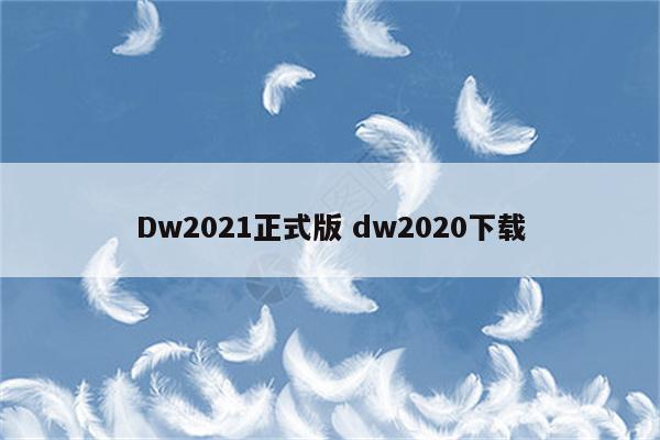 Dw2021正式版 dw2020下载