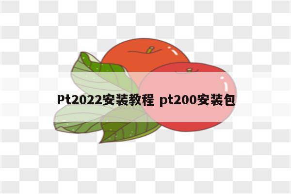 Pt2022安装教程 pt200安装包