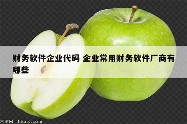 财务软件企业代码 企业常用财务软件厂商有哪些