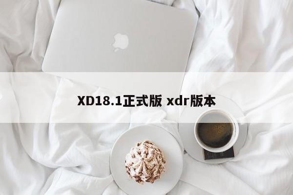 XD18.1正式版 xdr版本