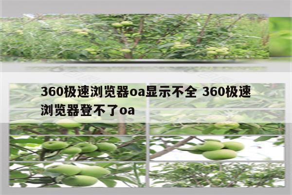 360极速浏览器oa显示不全 360极速浏览器登不了oa