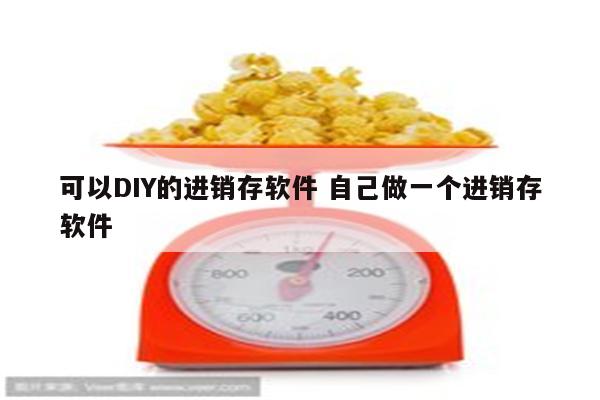 可以DIY的进销存软件 自己做一个进销存软件