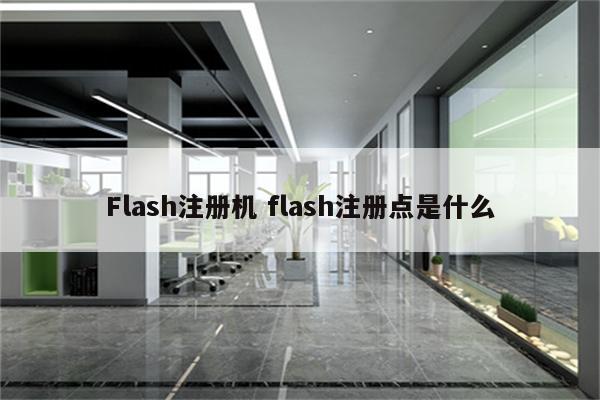 Flash注册机 flash注册点是什么