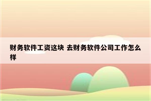 财务软件工资这块 去财务软件公司工作怎么样