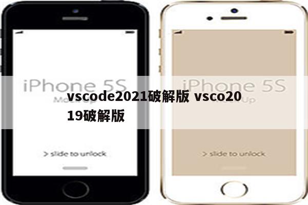 vscode2021破解版 vsco2019破解版