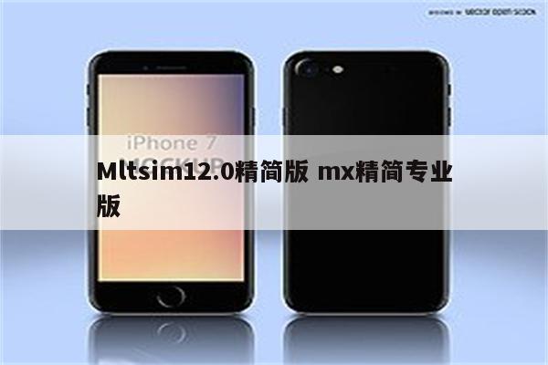 Mltsim12.0精简版 mx精简专业版