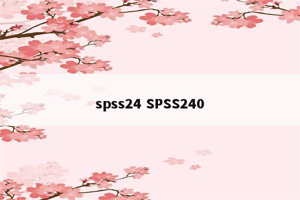 spss24 SPSS240