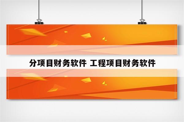 分项目财务软件 工程项目财务软件