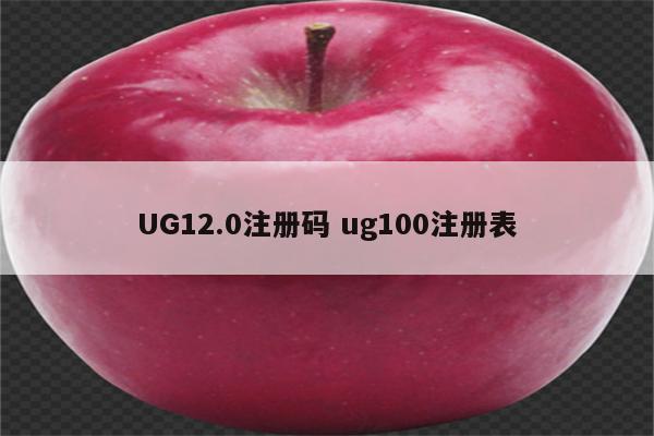 UG12.0注册码 ug100注册表