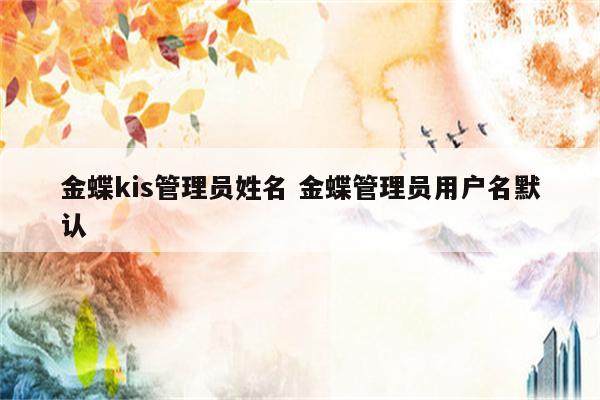 金蝶kis管理员姓名 金蝶管理员用户名默认