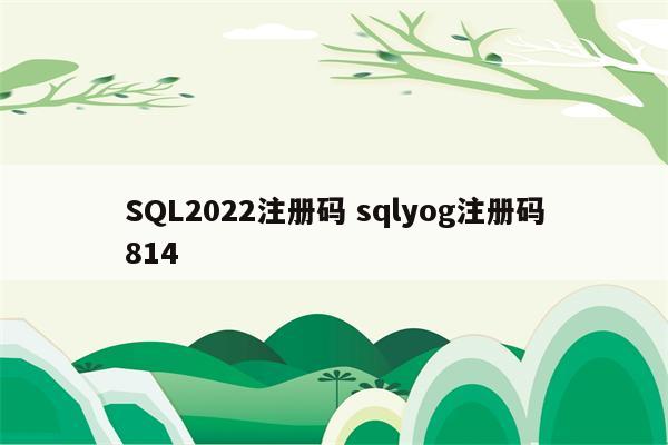 SQL2022注册码 sqlyog注册码814