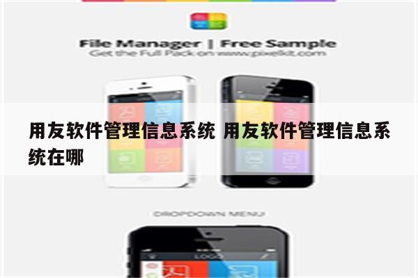 用友软件管理信息系统 用友软件管理信息系统在哪