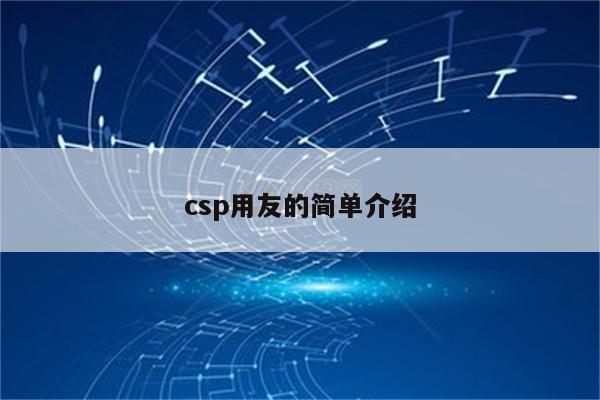 csp用友的简单介绍