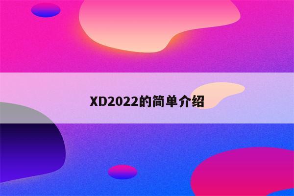 XD2022的简单介绍