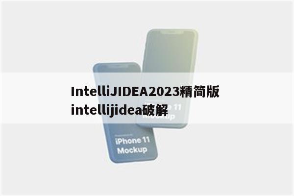 IntelliJIDEA2023精简版 intellijidea破解