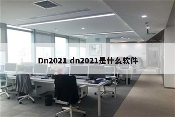 Dn2021 dn2021是什么软件