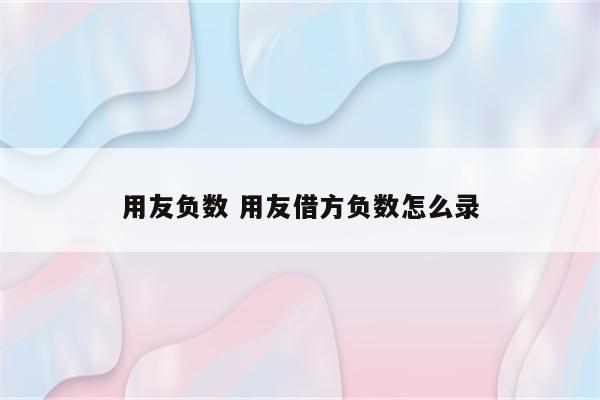 用友负数 用友借方负数怎么录