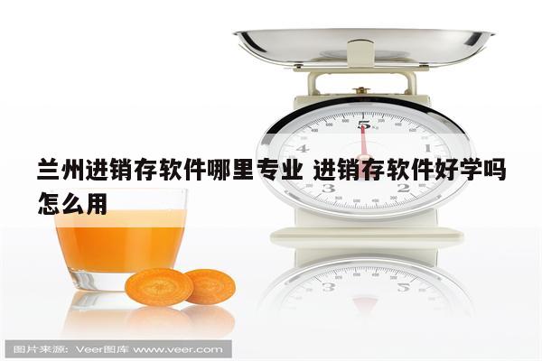 兰州进销存软件哪里专业 进销存软件好学吗怎么用