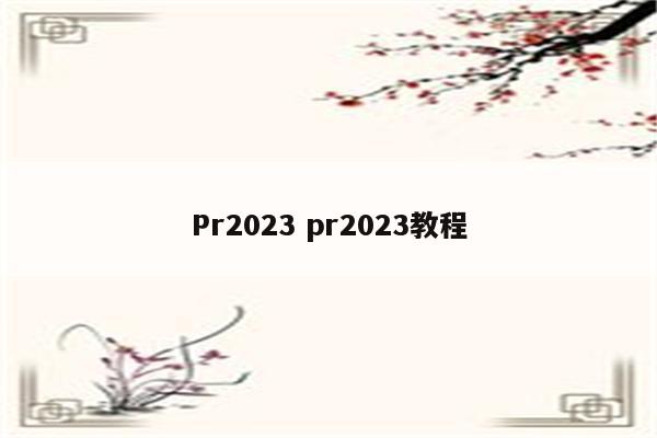 Pr2023 pr2023教程