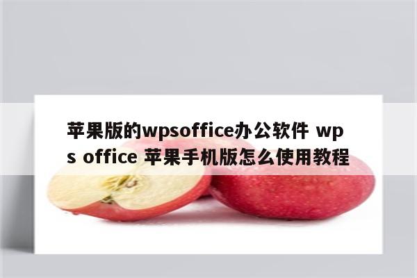 苹果版的wpsoffice办公软件 wps office 苹果手机版怎么使用教程