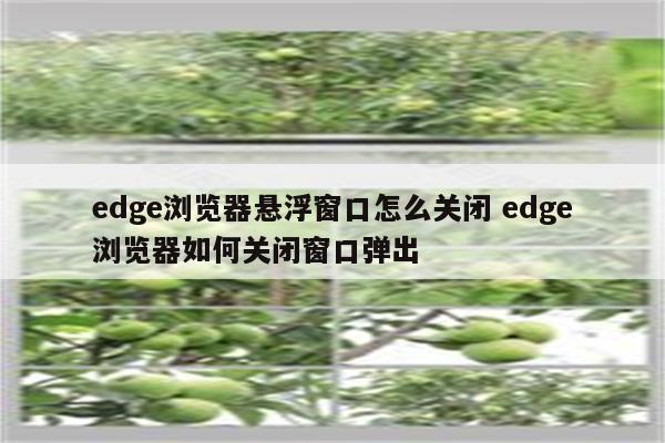 edge浏览器悬浮窗口怎么关闭 edge浏览器如何关闭窗口弹出