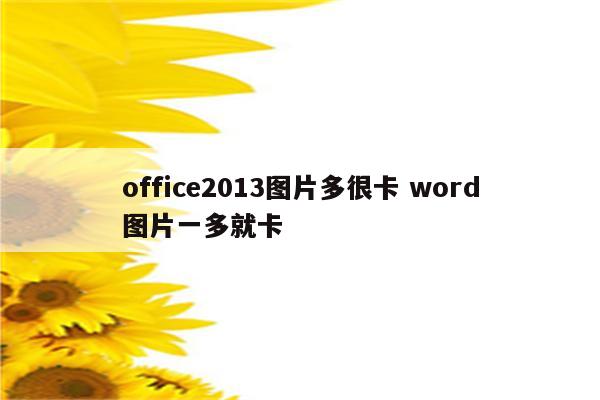 office2013图片多很卡 word图片一多就卡