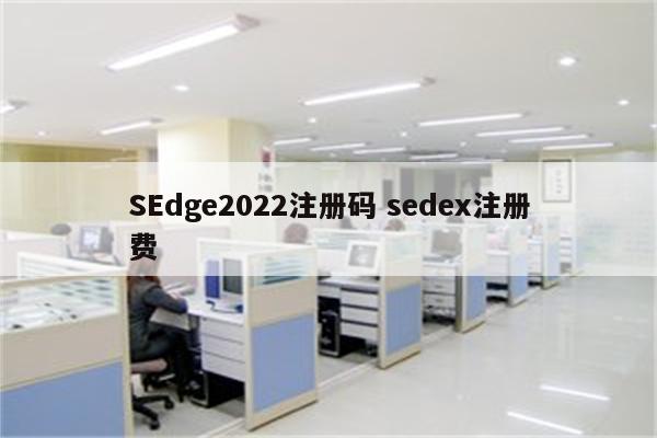 SEdge2022注册码 sedex注册费