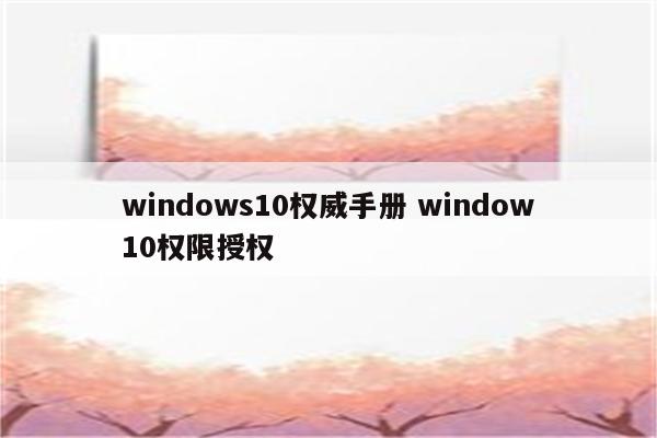 windows10权威手册 window10权限授权