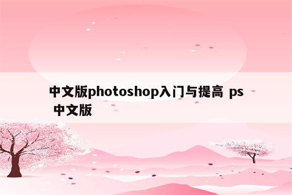 中文版photoshop入门与提高 ps 中文版