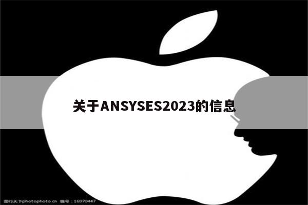 关于ANSYSES2023的信息