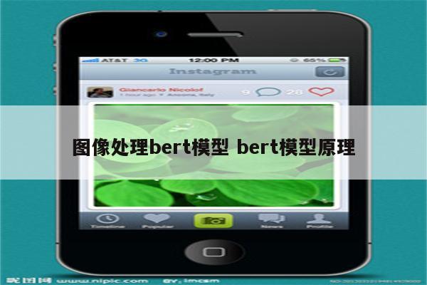 图像处理bert模型 bert模型原理