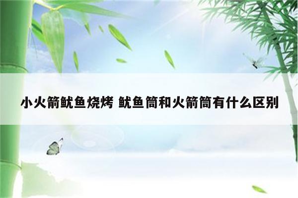 小火箭鱿鱼烧烤 鱿鱼筒和火箭筒有什么区别