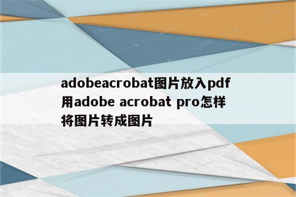 adobeacrobat图片放入pdf 用adobe acrobat pro怎样将图片转成图片