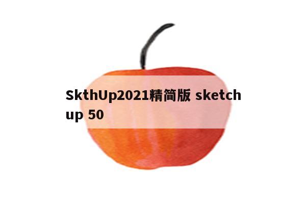 SkthUp2021精简版 sketchup 50