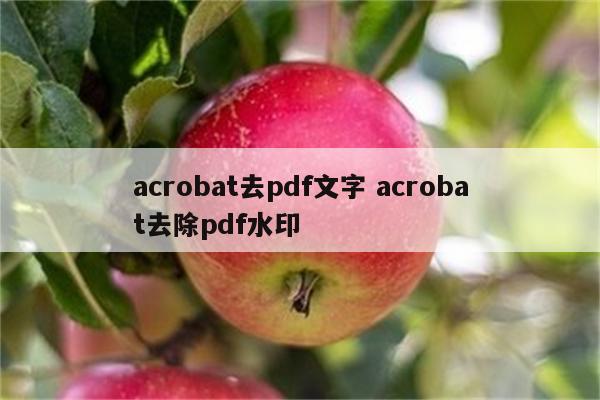 acrobat去pdf文字 acrobat去除pdf水印