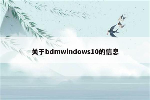 关于bdmwindows10的信息