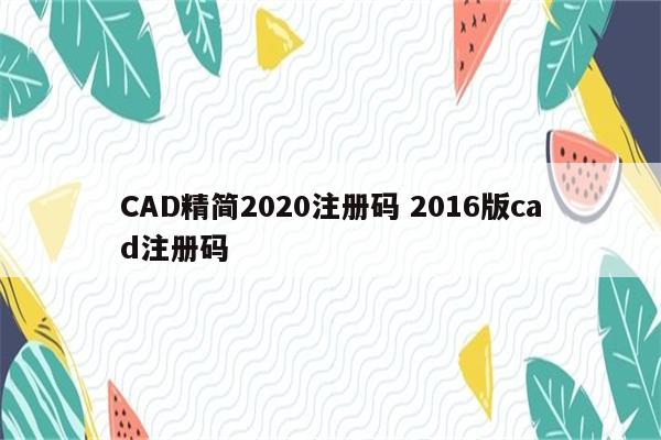 CAD精简2020注册码 2016版cad注册码