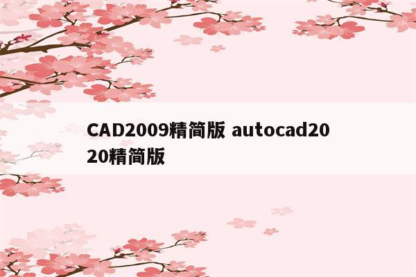 CAD2009精简版 autocad2020精简版