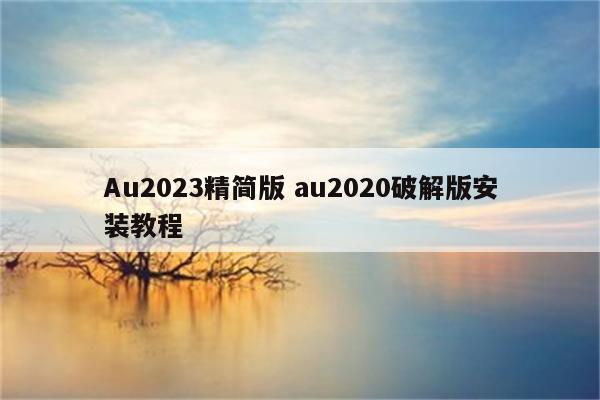 Au2023精简版 au2020破解版安装教程