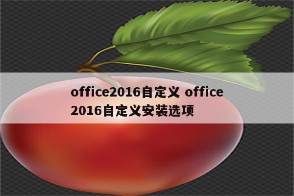 office2016自定义 office2016自定义安装选项