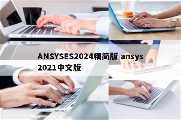 ANSYSES2024精简版 ansys2021中文版