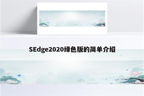 SEdge2020绿色版的简单介绍