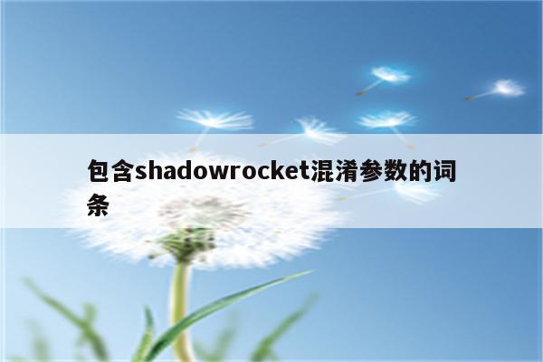 包含shadowrocket混淆参数的词条