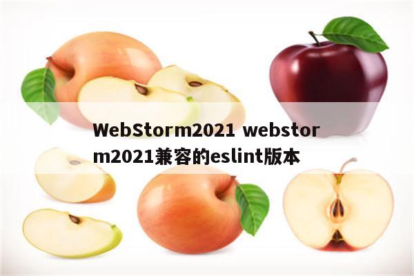 WebStorm2021 webstorm2021兼容的eslint版本