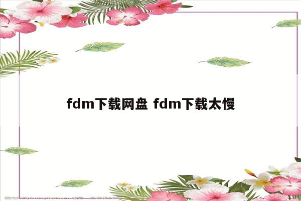 fdm下载网盘 fdm下载太慢