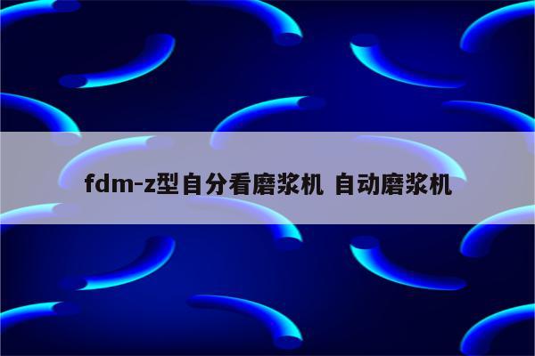 fdm-z型自分看磨浆机 自动磨浆机