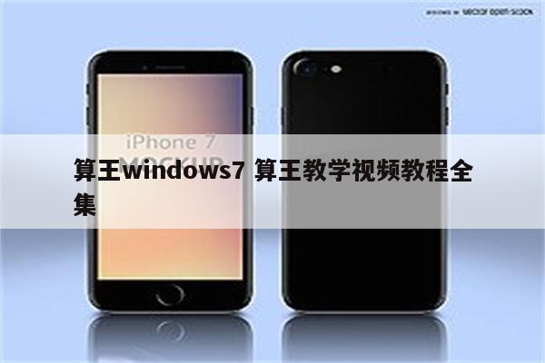 算王windows7 算王教学视频教程全集